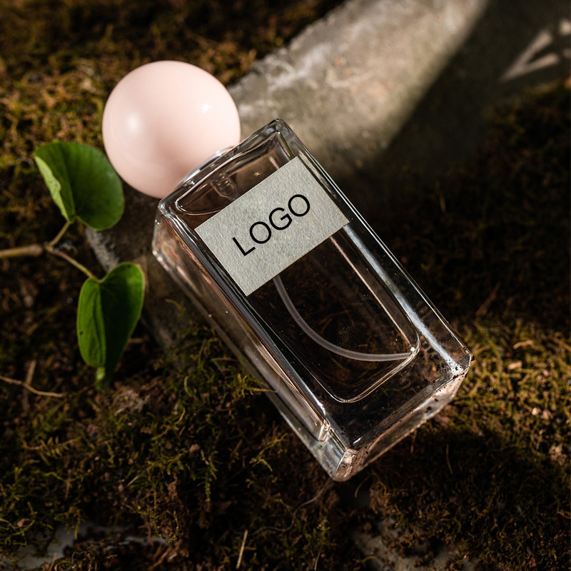 Long Lasting Perfumes 50ml New Design Spray Women